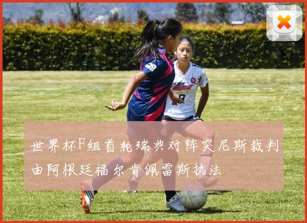 世界杯F组首轮瑞典对阵突尼斯裁判由阿根廷福尔肯佩雷斯执法