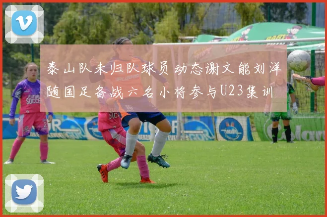泰山队未归队球员动态谢文能刘洋随国足备战六名小将参与U23集训